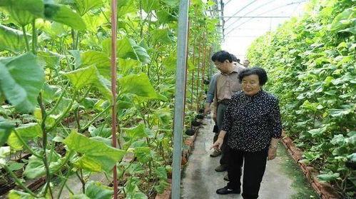 网红吃瓜塌房视频真实,揭秘网络红人背后的真相与争议 第3张 网红吃瓜塌房视频真实,揭秘网络红人背后的真相与争议 第3张