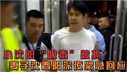 小沈阳老婆爆料视频播放,揭秘夫妻生活幕后真相  第2张